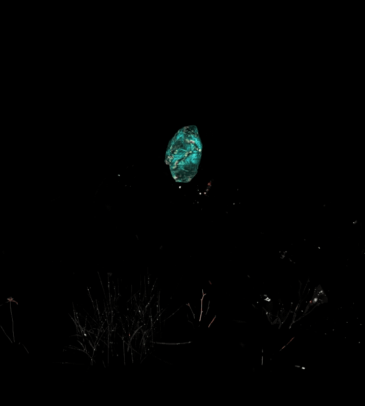 Nina - Labradorite