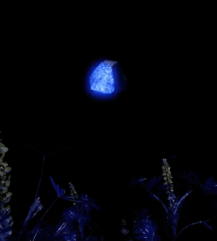 I.L - Lapis Lazuli